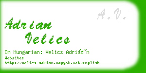 adrian velics business card
